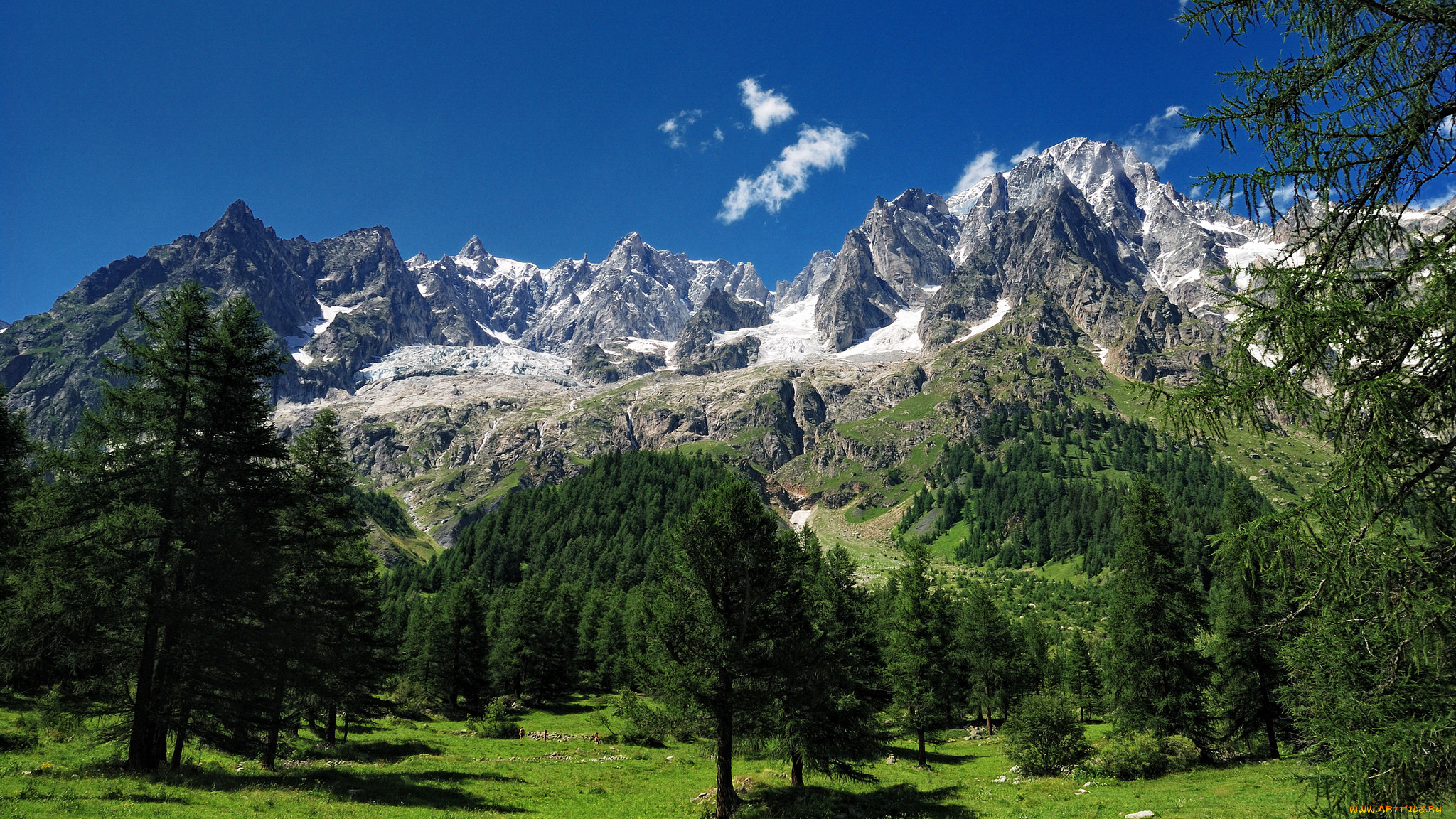 Бесплатный горный сайт. Альпы Монблан. Гора Монблан и Альпийские Луга. Гора в Швейцарии Монблан. Архыз в Альпах.